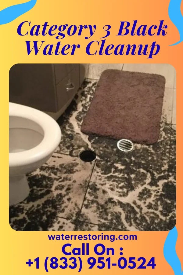 Category 3 Black Water Cleanup in Acacia Villas, FL