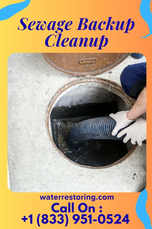 Sewage Backup Cleanup in Acacia Villas, FL